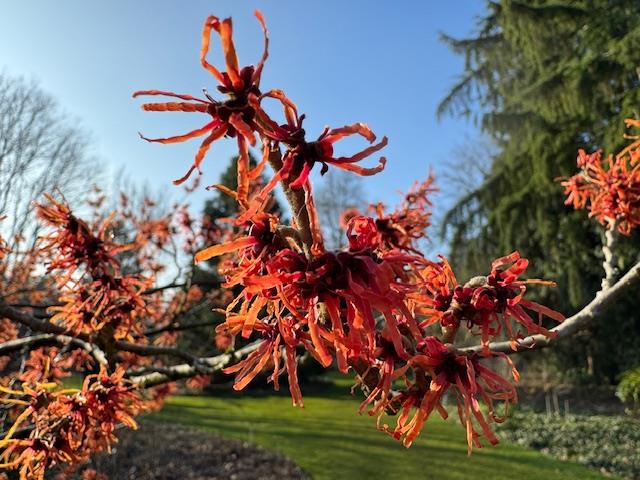 Tatteljee Stressbestendig?!