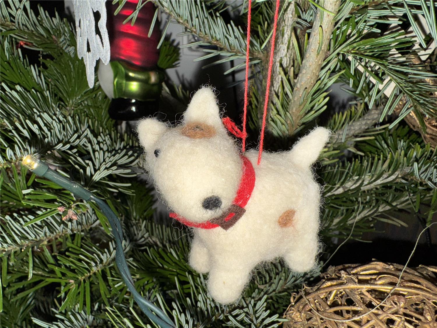 Tatteljee Studenten-concert